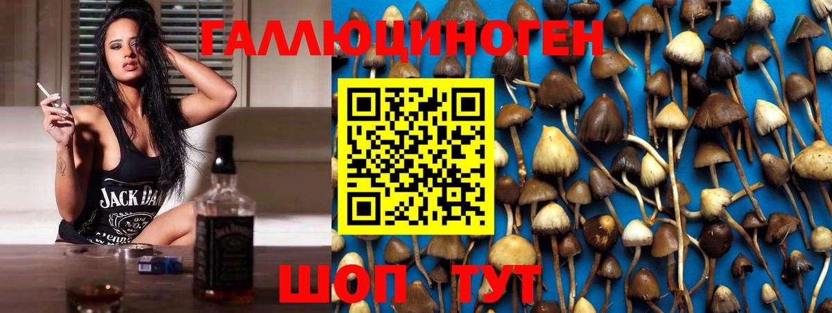 Наро-Фоминск  Галлюциногенные грибы мицелий  Псилоцибиновые грибы прущие грибы  Вход с VPN 